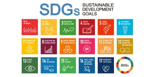 「家具から始めるSDGs。地球にやさしい家具とはどんなもの？」